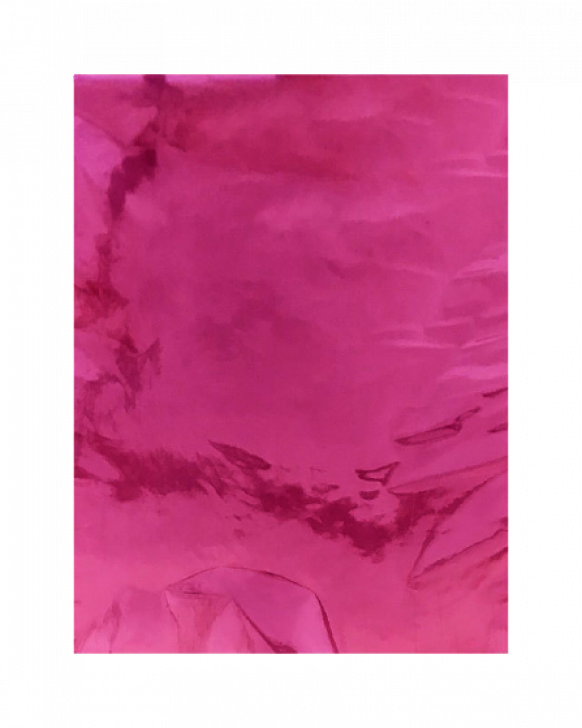 2198103314495