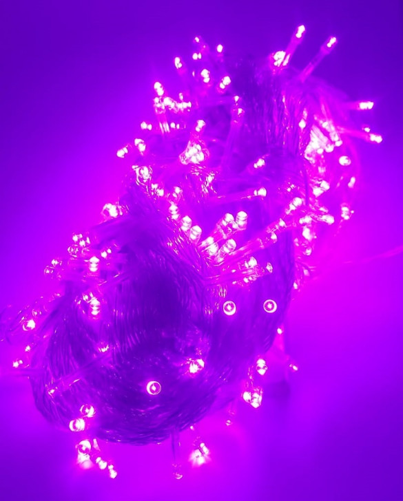 2198103681443