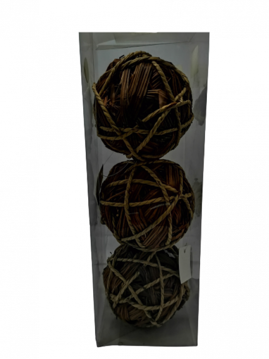 7450067010079