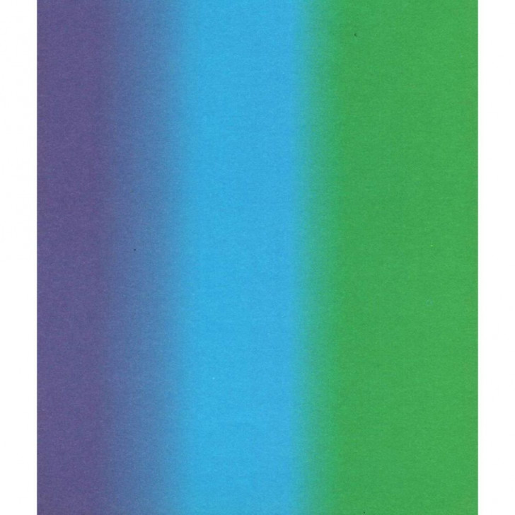 7791911260913