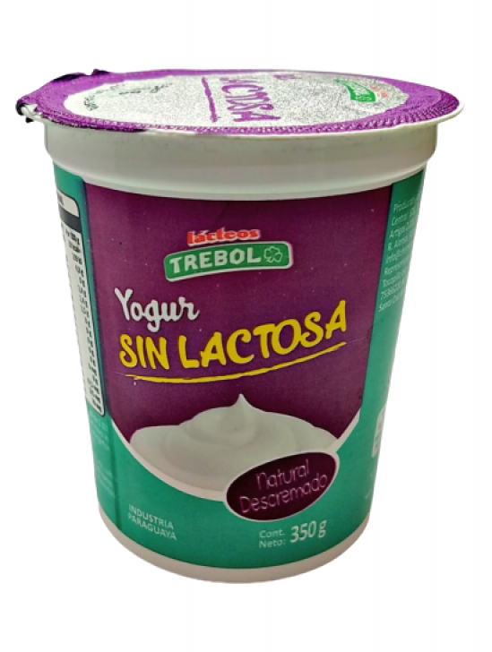 Yogur sin lactosa Natural