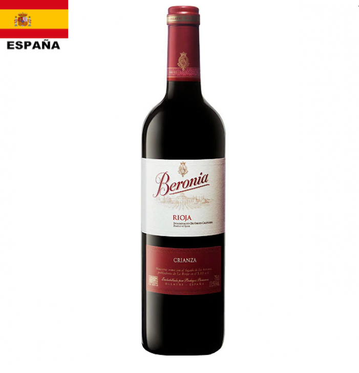 Nina beronia pump silver sales